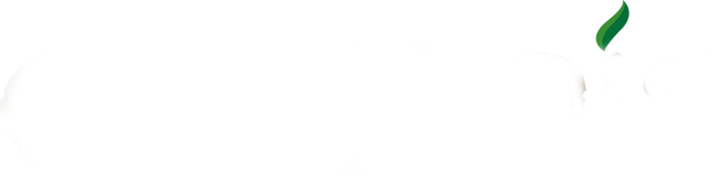 Logo CB Bois